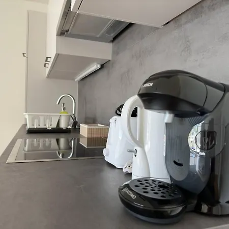 Muzeta - Eco-friendly Parkview In Graz's Smart